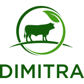 Dimitra Incorporated